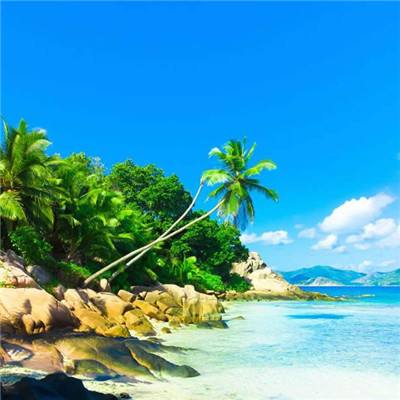 全民彩票app下载